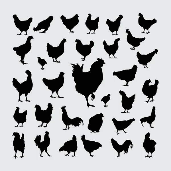 Kycklingsiluett Uppsättning Silhuetter Kyckling Stockvektor