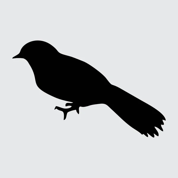 Vogel Silhouette Vogel Isoliert Auf Weißem Hintergrund — Stockvektor