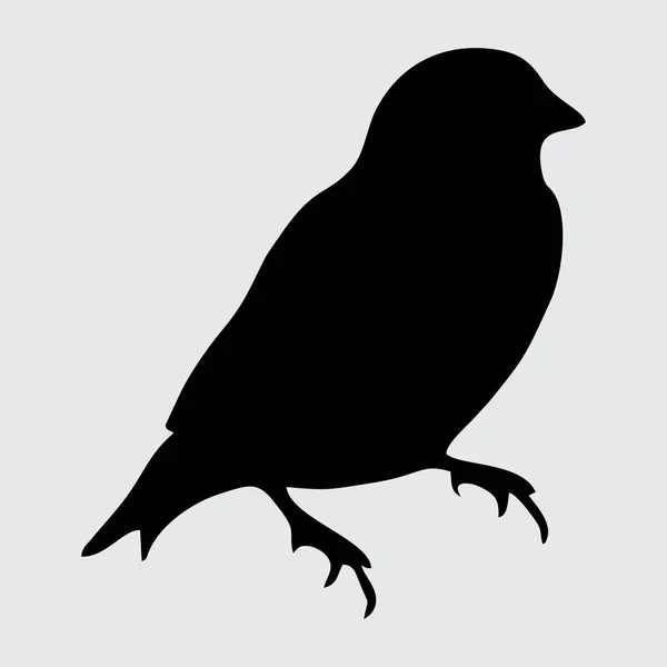 Птичий Силуэт Птичья Изоляция Белом Фоне — стоковый вектор