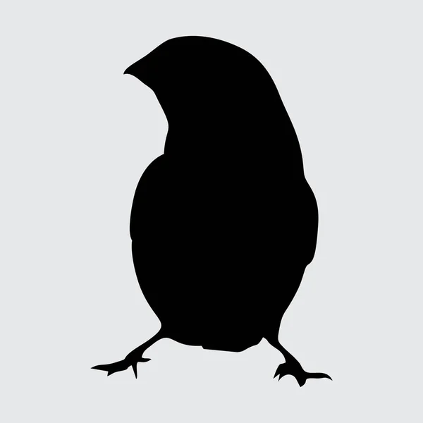 Silueta Pájaro Pájaro Aislado Sobre Fondo Blanco — Vector de stock