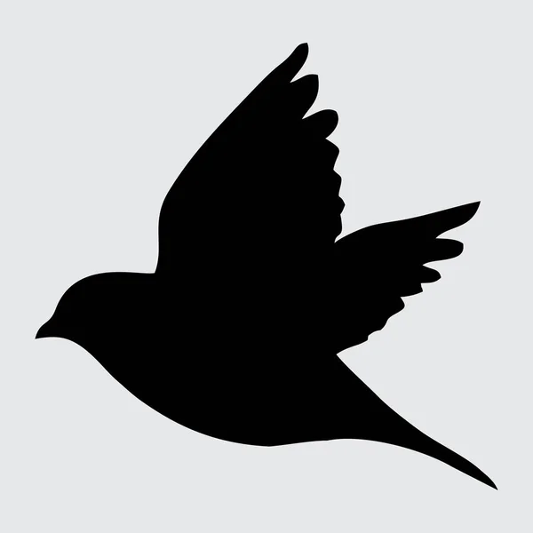 Ptačí Silueta Pták Izolovaný Bílém Pozadí — Stockový vektor