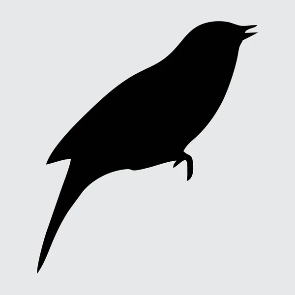Ptačí Silueta Pták Izolovaný Bílém Pozadí — Stockový vektor
