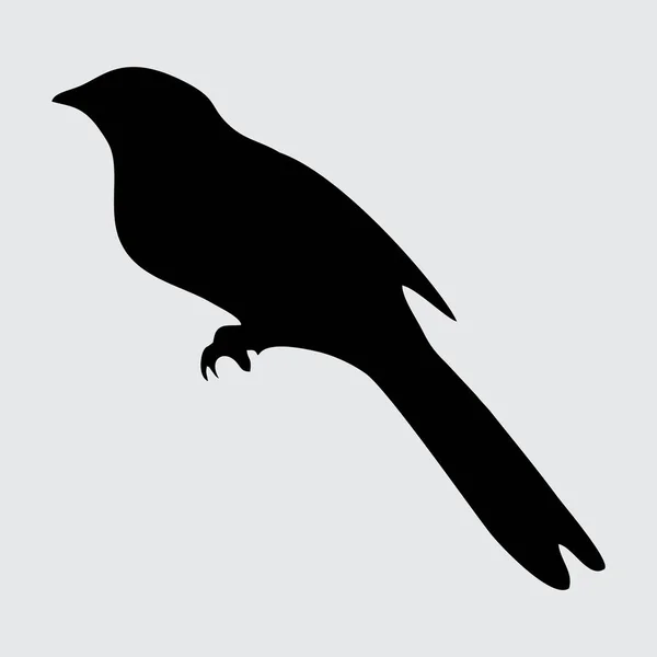 Silhouette Oiseau Oiseau Isolé Sur Fond Blanc — Image vectorielle