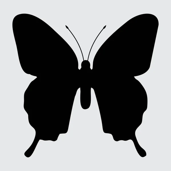 Butterfly Silhouette Butterfly Geïsoleerd Witte Achtergrond — Stockvector