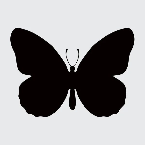 Πεταλούδα Σιλουέτα Πεταλούδα Απομονώνονται Λευκό Φόντο — Διανυσματικό Αρχείο