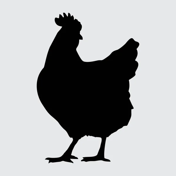 Tavuk Silueti Beyaz Arkaplanda Zole Edilmiş Tavuk — Stok Vektör