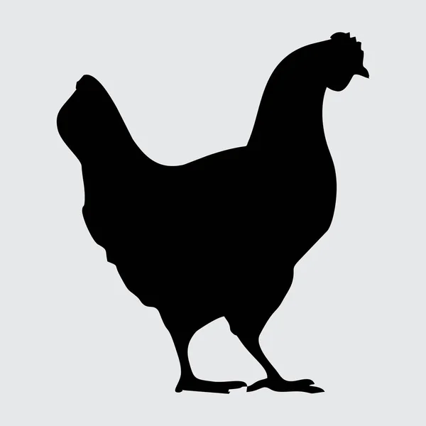 Silueta Pollo Pollo Aislado Sobre Fondo Blanco — Vector de stock