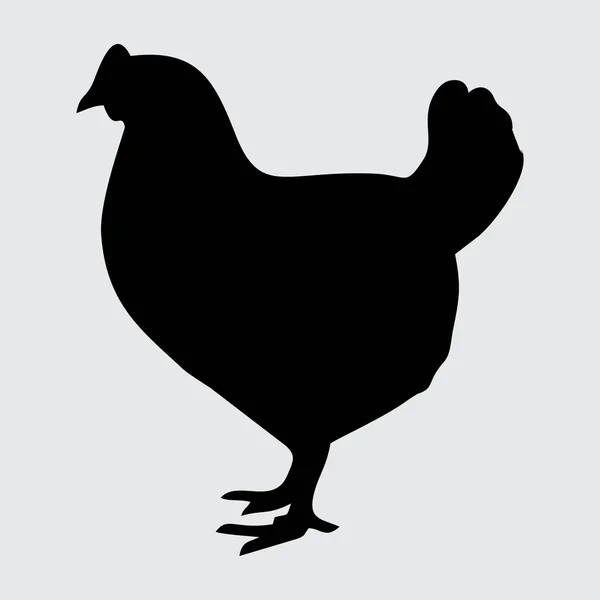 Silueta Pollo Pollo Aislado Sobre Fondo Blanco — Vector de stock