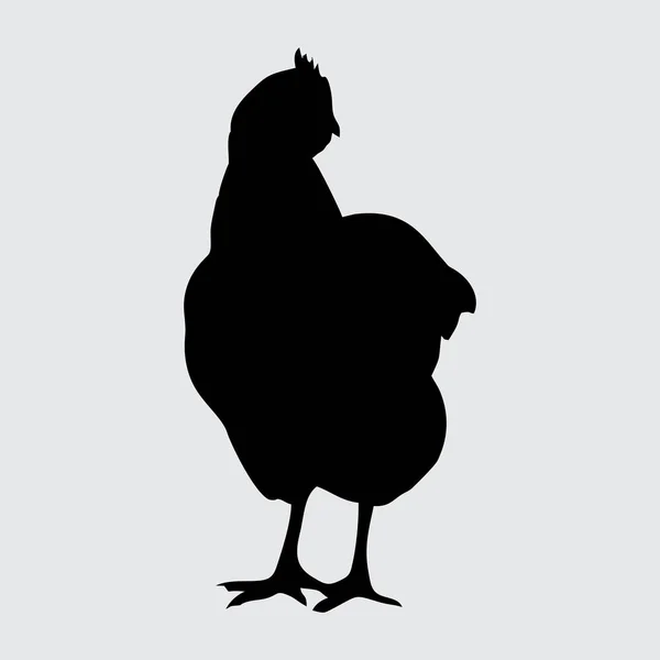 Куриный Силуэт Цыпленок Изолирован Белом Фоне — стоковый вектор