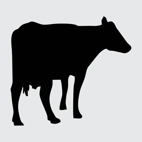 奶牛剪影 奶牛在白色背景下被隔离 — 图库矢量图片