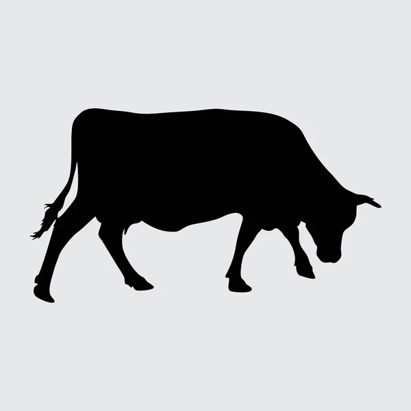 奶牛剪影 奶牛在白色背景下被隔离 — 图库矢量图片