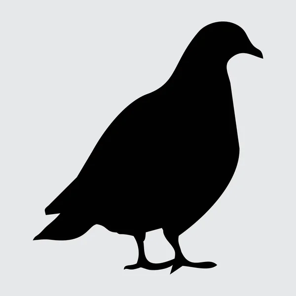鸽子剪影 鸽子在白色背景上被隔离 — 图库矢量图片