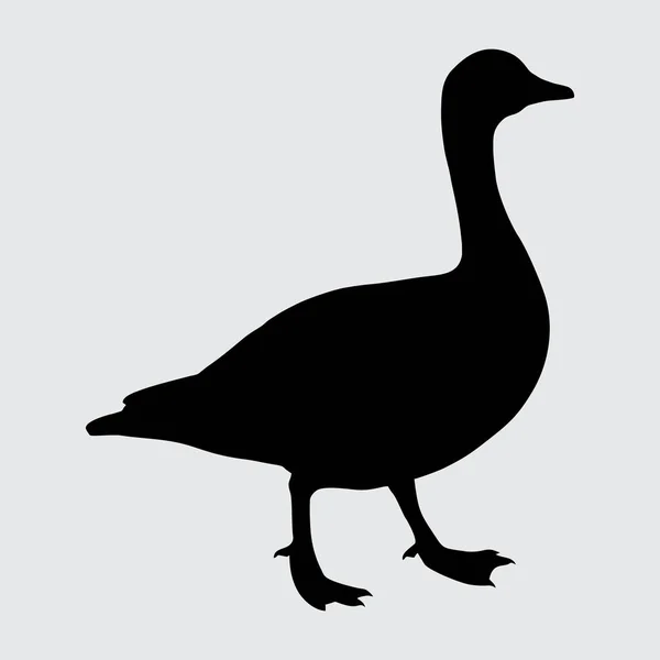 Duck Silhouette Duck Izolowane Białym Tle — Wektor stockowy