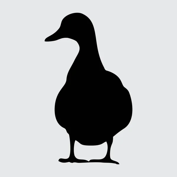Duck Silhouette Anka Isolerad Vit Bakgrund — Stock vektor