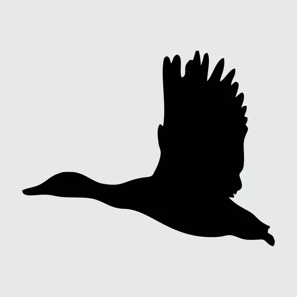 Entensilhouette Ente Isoliert Auf Weißem Hintergrund — Stockvektor