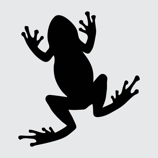 Frosch Silhouette Frosch Isoliert Auf Weißem Hintergrund — Stockvektor