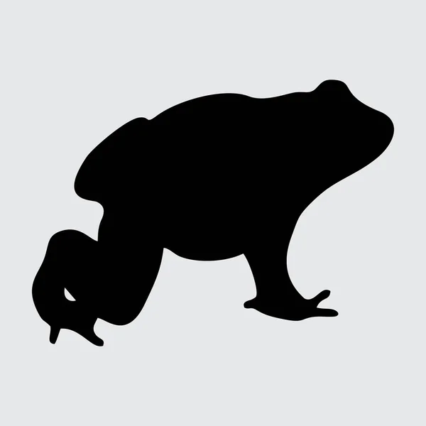 Frosch Silhouette Frosch Isoliert Auf Weißem Hintergrund — Stockvektor