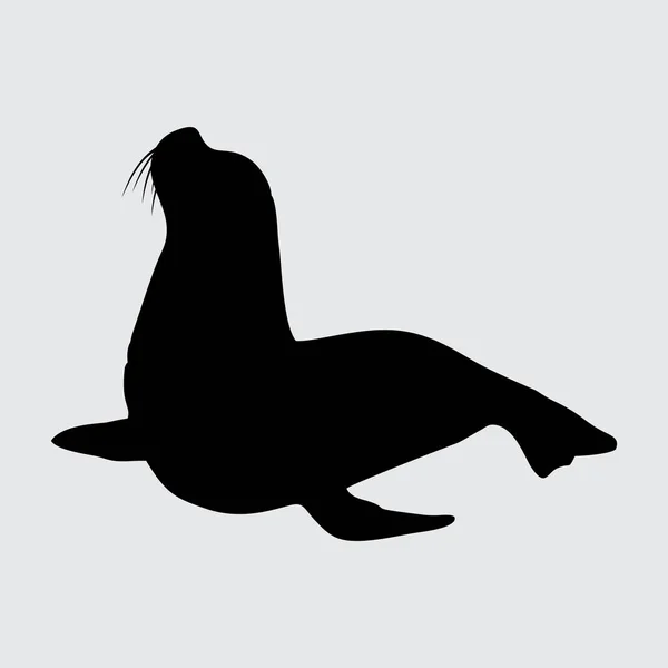 Seelöwe Silhouette Seelöwe Isoliert Auf Weißem Hintergrund — Stockvektor