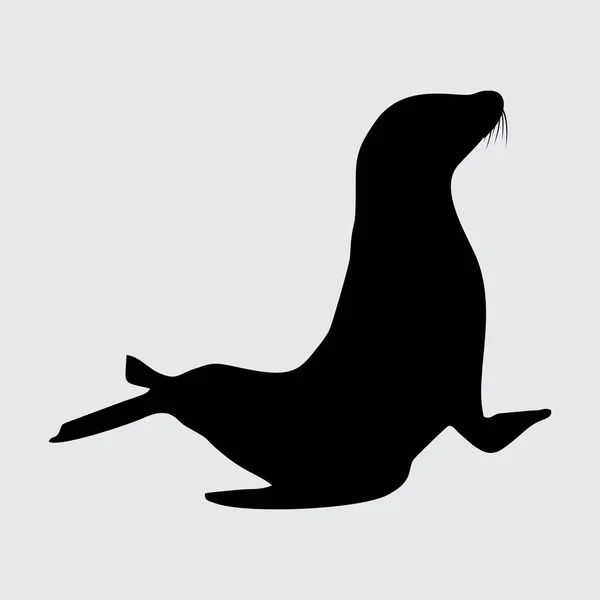 海狮侧写 白色背景下孤立的海狮 — 图库矢量图片