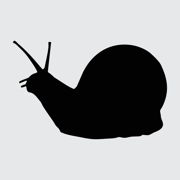 Snail Silhouette Snailは白い背景に隔離されています — ストックベクタ