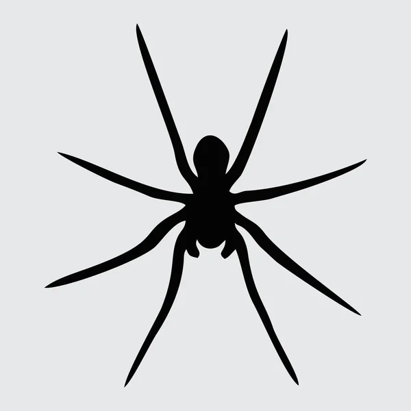 Spidersilhouet Spin Geïsoleerd Witte Achtergrond — Stockvector