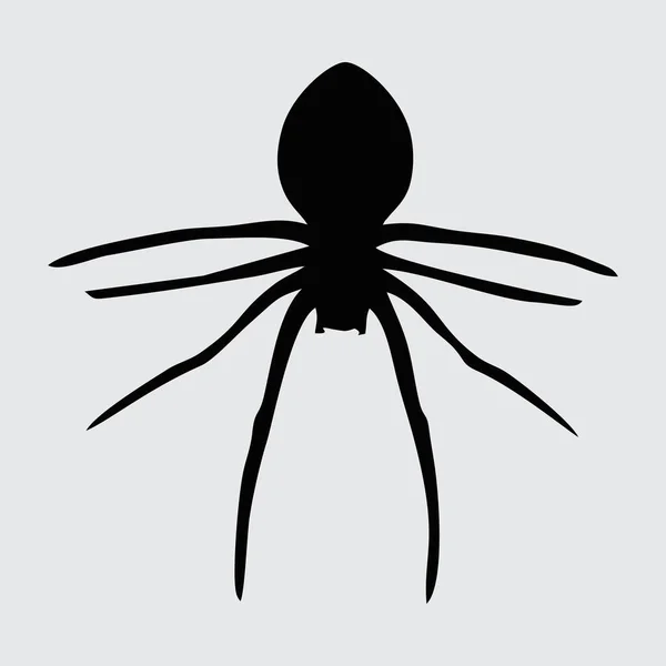 Spidersilhouet Spin Geïsoleerd Witte Achtergrond — Stockvector