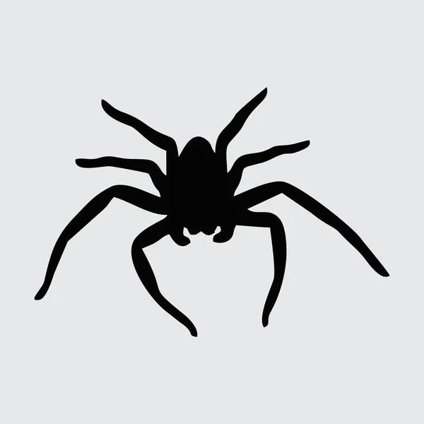 Spidersilhouet Spin Geïsoleerd Witte Achtergrond — Stockvector