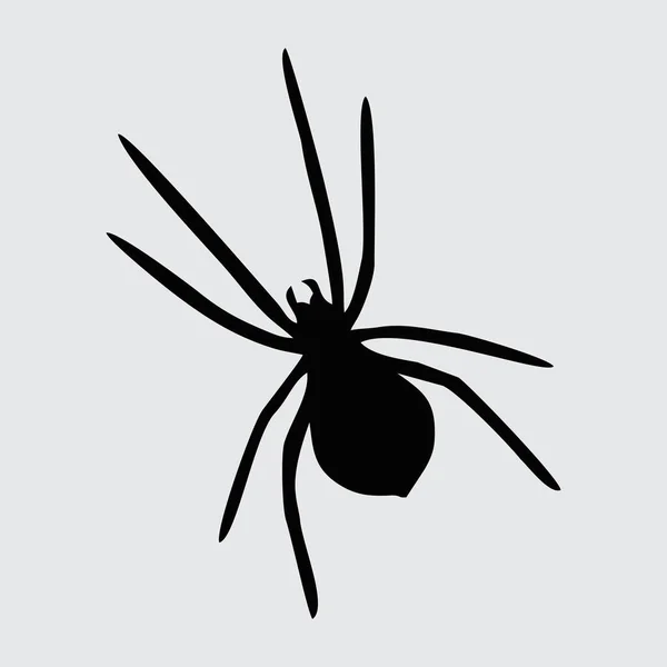 Spinnensilhouette Spinne Isoliert Auf Weißem Hintergrund — Stockvektor
