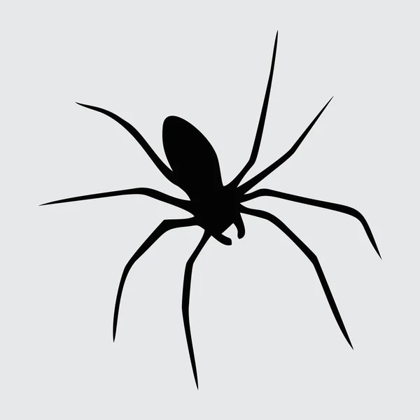 Spinnensilhouette Spinne Isoliert Auf Weißem Hintergrund — Stockvektor