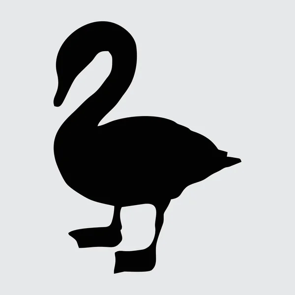 Silueta Cisne Cisne Aislado Sobre Fondo Blanco — Vector de stock