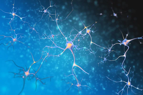 Neurony z komórek układu nerwowego. — Zdjęcie stockowe