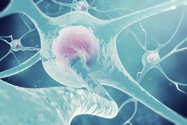 Neuronami układu nerwowego. 3D ilustracja komórek nerwowych — Zdjęcie stockowe