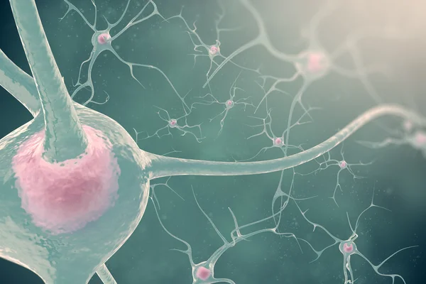 Nervceller i nervsystemet med effekt oskärpa och ljus. 3D illustration nervceller — Stockfoto