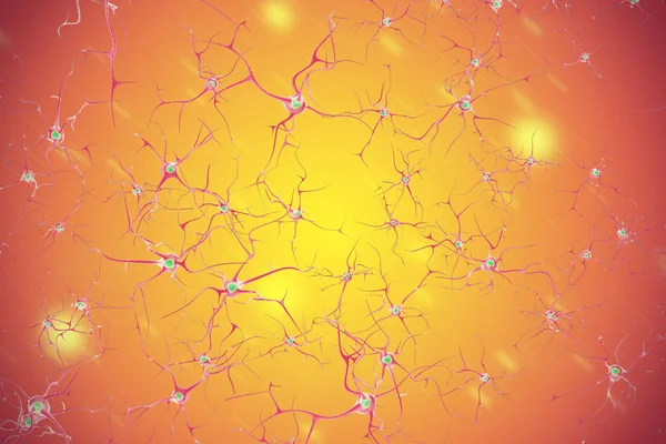 3d απεικόνιση νευρικό σύστημα των κυττάρων του εγκεφάλου — Φωτογραφία Αρχείου