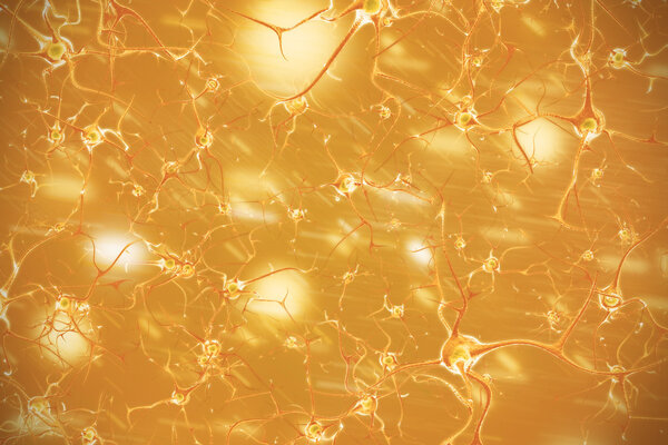 Nervous system 3d illustration of brain cells