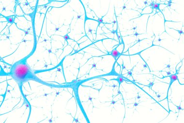 Neurons in the brain on white background with focus effect. 3d illustration clipart