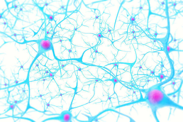 Neurons in the brain on white background with focus effect. 3d illustration
