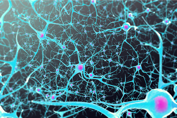 Neurons in the brain with a nucleus inside on black background. 3d illustration