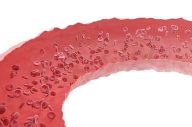 Kırmızı kan hücreleri kesim insan dolaşım sistemi damarlardan akan içinde. 3D çizim