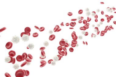 Red and white blood cells isolated on white background. Medical concept. 3d illustration clipart