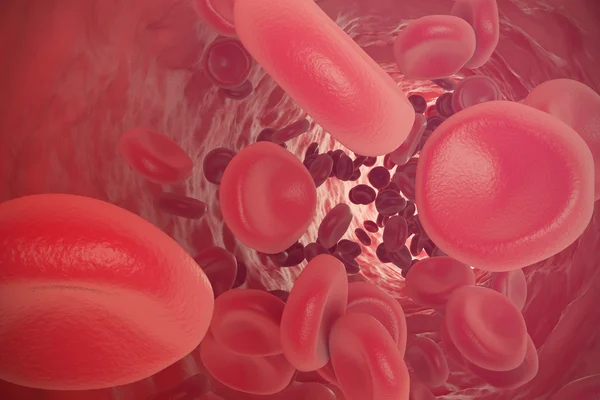 Glóbulos rojos moviéndose en los vasos sanguíneos. ilustración 3d —  Fotos de Stock