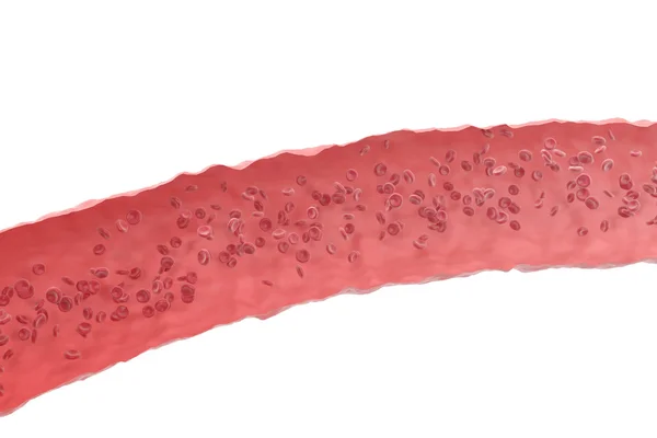 Os glóbulos vermelhos no corte que flui através das veias do sistema circulatório humano. ilustração 3d — Fotografia de Stock