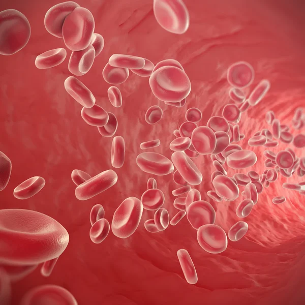 Glóbulos rojos que fluyen a través de las venas del sistema circulatorio humano. ilustración 3d — Foto de Stock