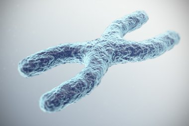 Gri arka plan üzerinde x kromozomu. alan etkili, bilimsel kavram derinliği ile. 3D çizim