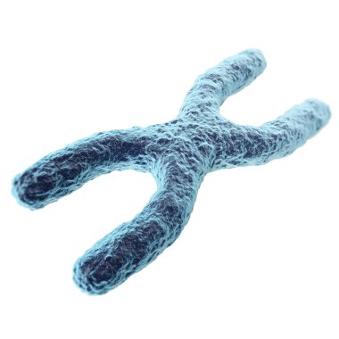 Beyaz arka plan üzerinde izole kromozom. alan etkili, bilimsel kavram derinliği ile. 3D çizim