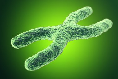 Yeşil arka plan üzerinde x kromozomu. alan etkili, bilimsel kavram derinliği ile. 3D çizim