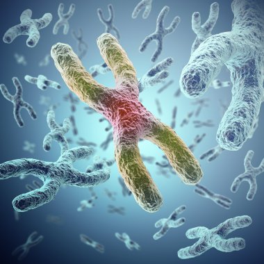 Gen terapisi veya Mikrobiyoloji genetik araştırma için tıbbi bir sembolü olarak Biyoloji insan için bir kavram olarak X-chromosomes. 3D çizim