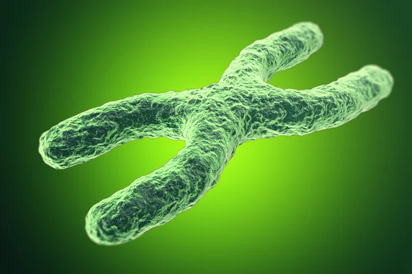 Хромосома на зеленому тлі. з глибиною польового ефекту, наукова концепція. 3d ілюстрація — стокове фото