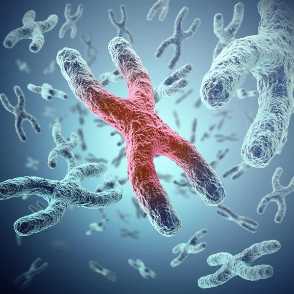 Cromosoma X, rojo en el centro, el concepto de infección, mutación, enfermedad, con efecto de enfoque. ilustración 3d —  Fotos de Stock