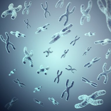 X-chromosomes gri arka planda, bilimsel ve Biyoloji kavramı. 3D çizim